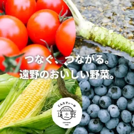 【毎月定期便】旬のとれたて野菜セット(5～7品)ライトサイズ【こんたでぃーの遠野】全12回【配送不可地域：離島】【4066188】