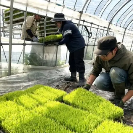 【毎月定期便】ササニシキ 白米 精米 10kg 岩手遠野市 勘六縁「たけのこ舎」全12回【4088047】