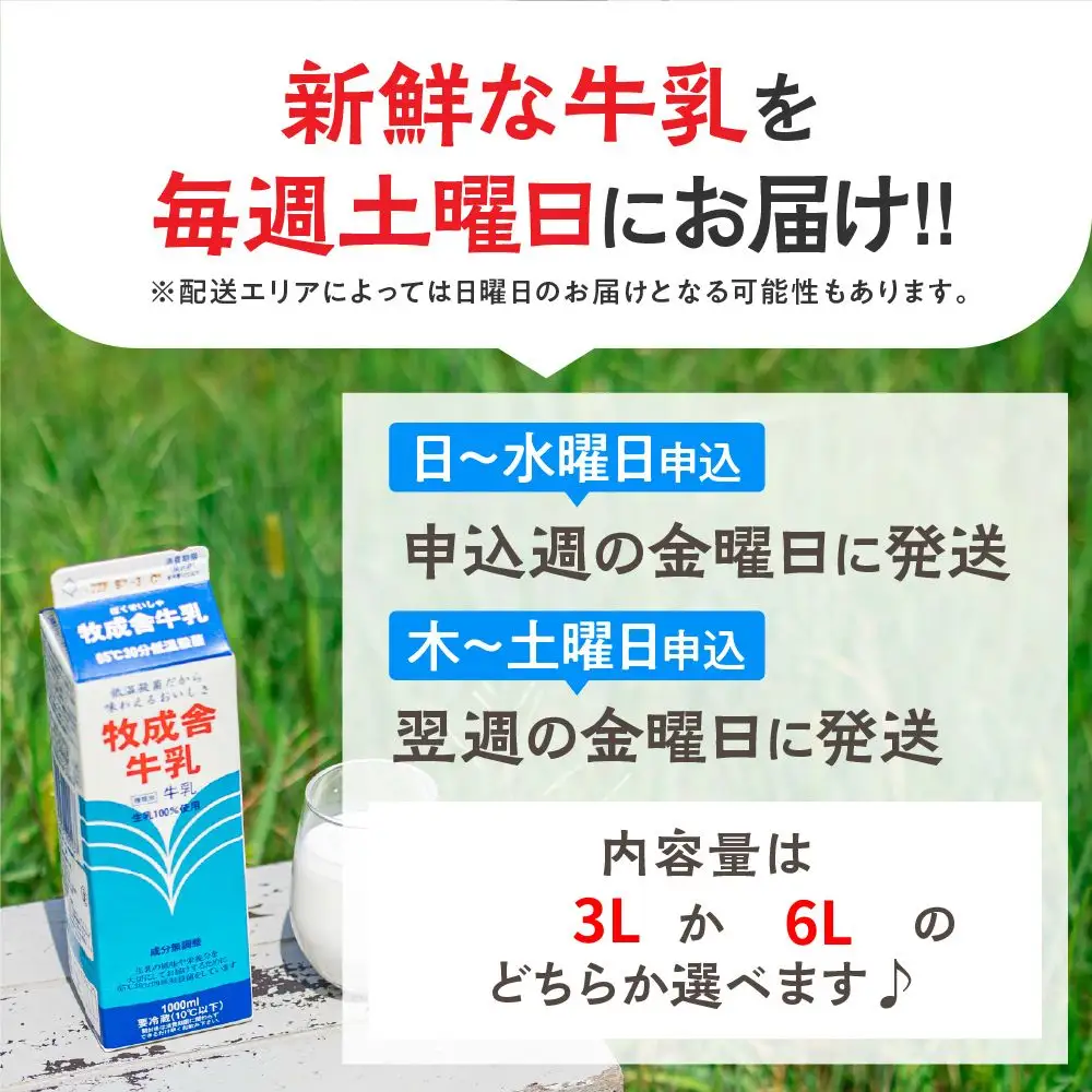 【毎週定期便 牛乳 6本×12回】 毎週 回数選べる 3ヶ月 飛騨産生乳100％ 牧成舎 美味しい低温殺菌牛乳 乳製品 飛騨 お楽しみ