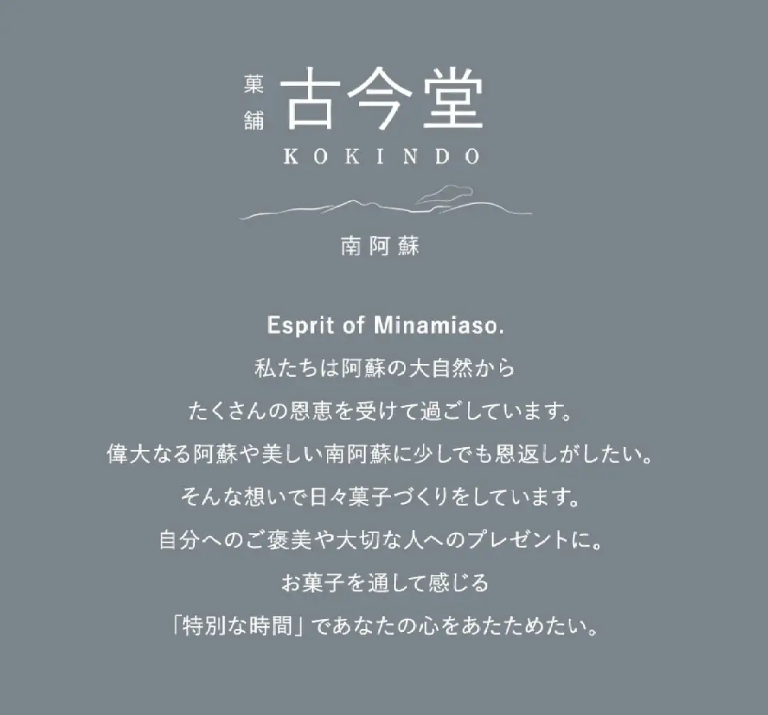 濃厚 フォンダンショコラ ASO BATON 6個 古今堂《30日以内に出荷予定(土日祝除く)》 熊本県 南阿蘇村 チョコ チョコレート ショコラ 熊本 土産 お茶菓子 デザート お菓子 スイーツ