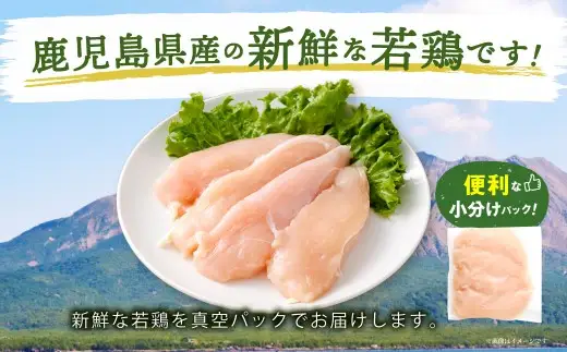 鹿児島県産 若鶏 ささみ 約5kg セット カット 小分け 鶏肉 冷凍 BS-3100