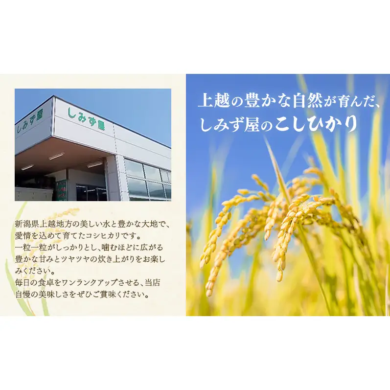 令和7年 新潟県 上越産 厳選米 コシヒカリ 5kg 5キロ しみず屋  上越市 板倉区  精米 こしひかり