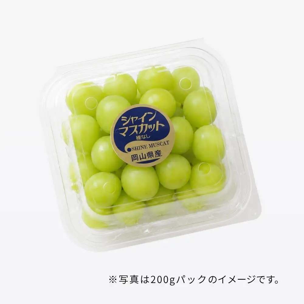 ＜粒パック詰め＞ 真庭市産旬のぶどうミックス３種以上 2.4kg 【beac011-01】
