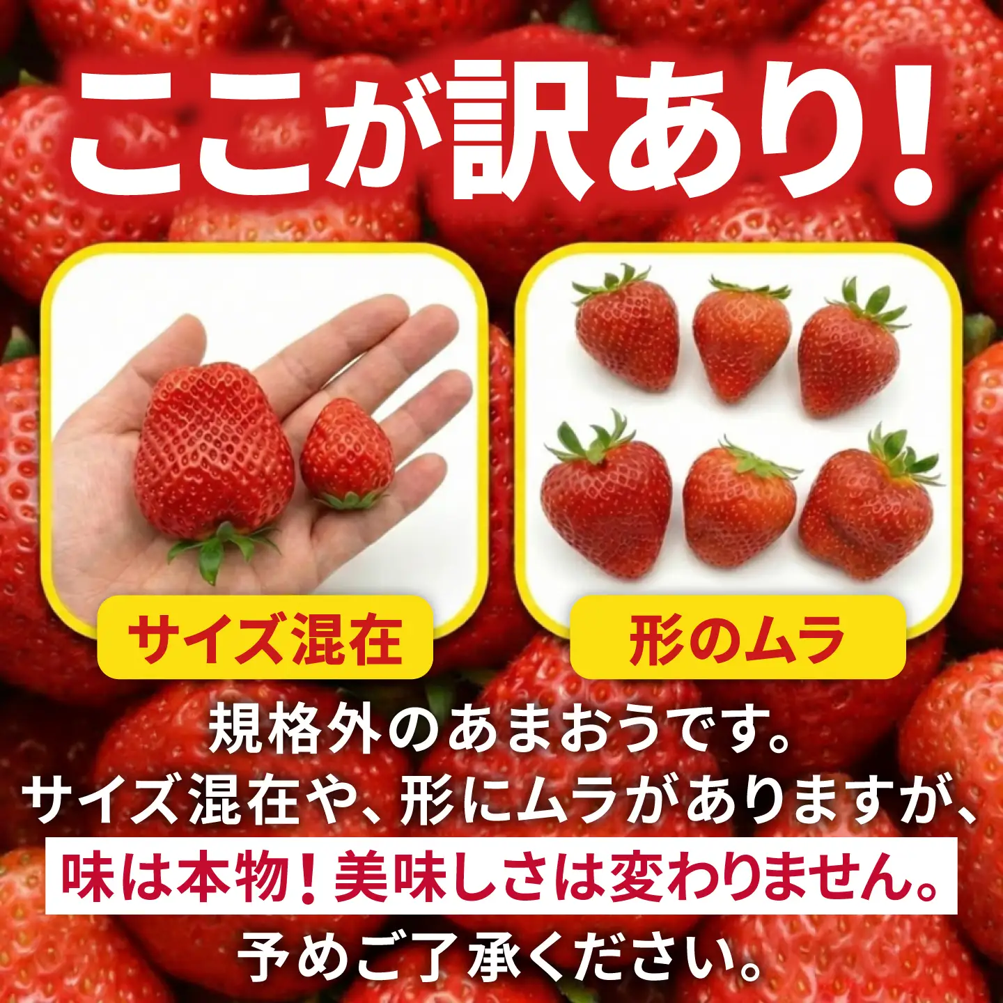 【先行受付】【訳あり】あまおう 4パック いちご 270g×4パック(1.08kg)　【2027年1月以降順次発送】 / 果物 苺 / 糸島市 / 株式会社フルコンス[ALO003]
