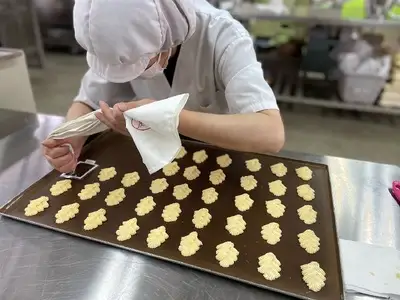 小麦の家手作りクッキー（自然派）12種入り【思いやり型返礼品】 066-F291
