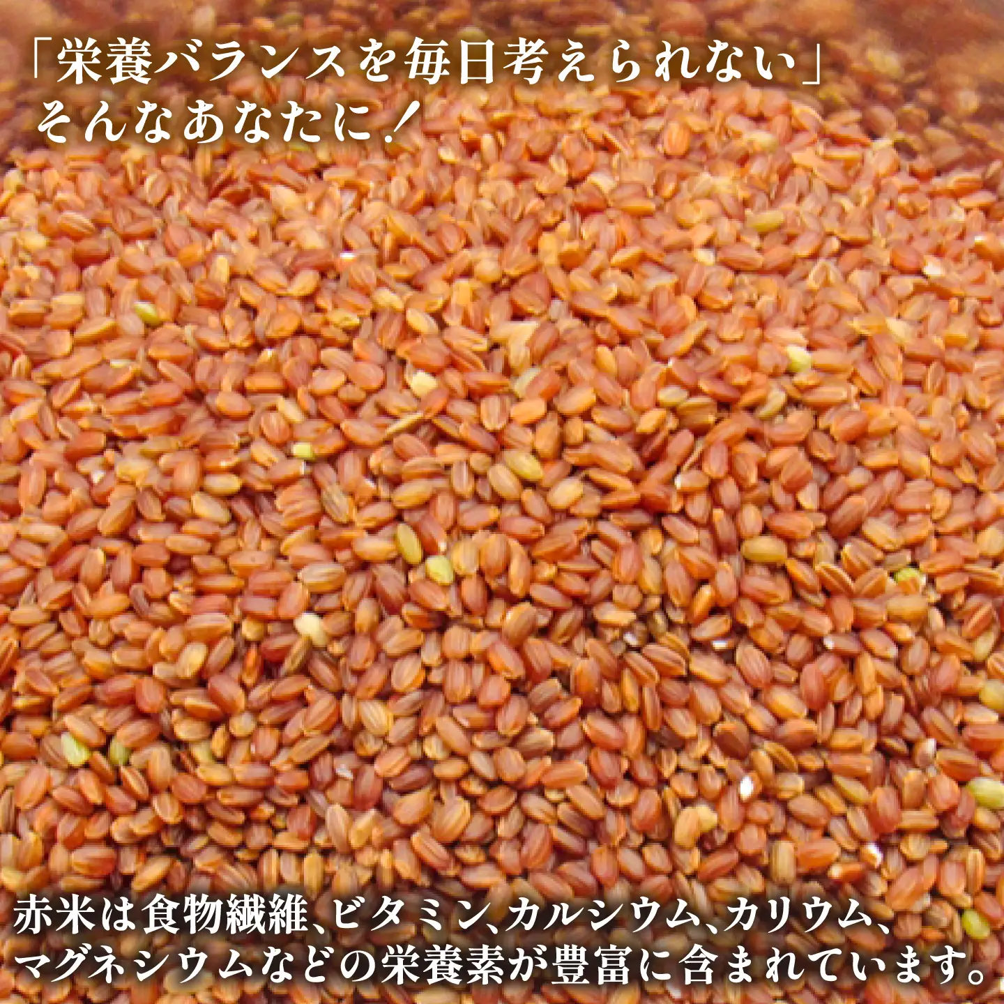 【先行予約】古代米 1.5kg JDB406