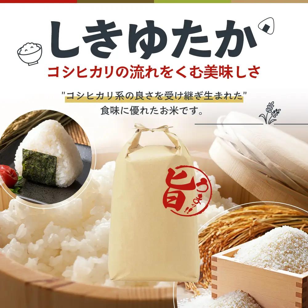しきゆたか 令和8年産 白米 単一原料米 しきゆたか【5kg】【2027年1月発送】
