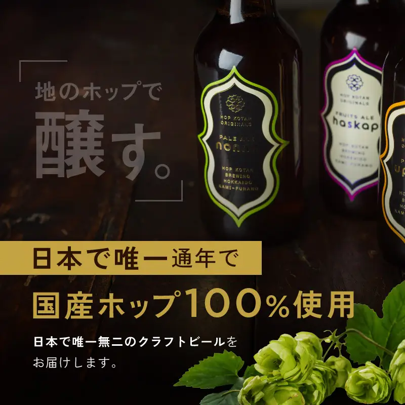 クラフトビール HOP KOTAN ORIGINALS クラフトビール【12本 定番3種各4本】【定期便 6ヶ月連続】