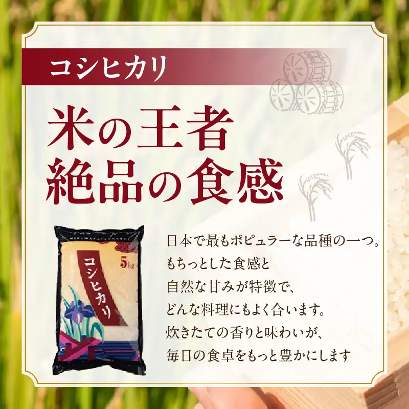 【令和８年産 先行予約】コシヒカリ（精米）15kg（12月発送）（3574）