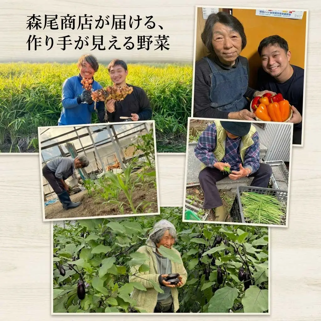 【先行予約】 【6回定期便】 新鮮野菜セット(10～11品)