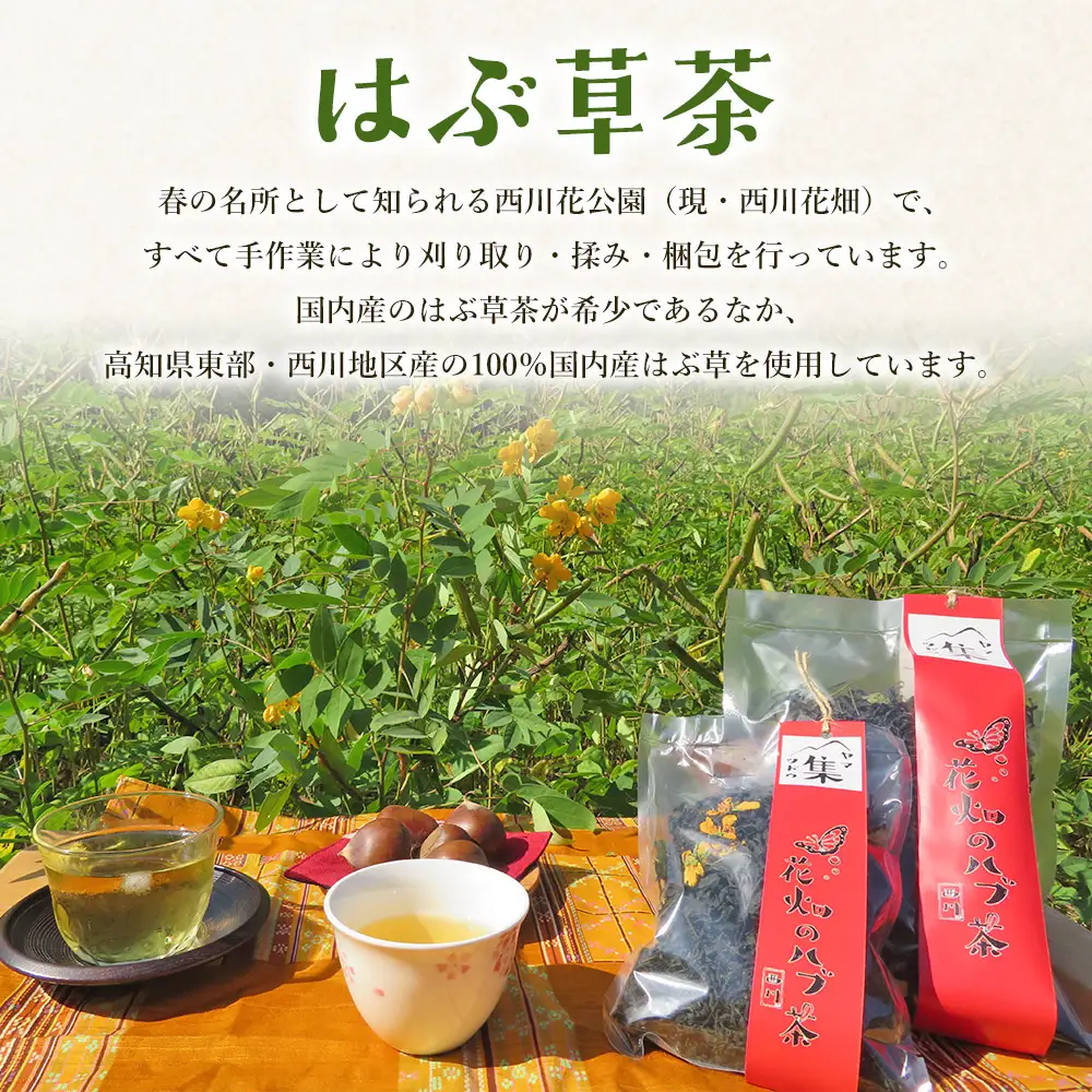 未焙煎 はぶ草茶 計２００g ns-0001