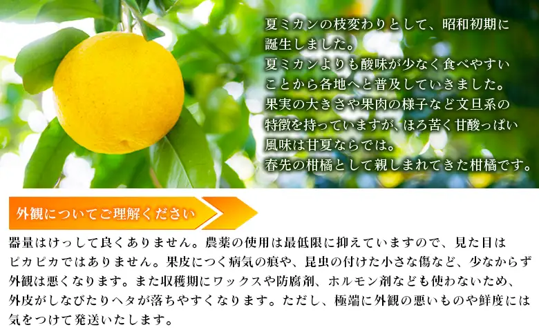  【先行予約】＜無茶々園の甘夏 約5kg＞ 果物 あまなつ みかん ミカン 蜜柑 柑橘 フルーツ 期間限定 季節限定 食べて応援 特産品 愛媛県 西予市 【常温】『2027年3月～5月上旬迄に順次出荷予定』AMC0062