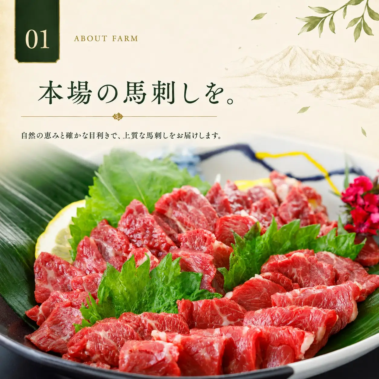 馬刺し 国産 赤身 500g（100g×5p） 馬刺しの長野屋【012-85】