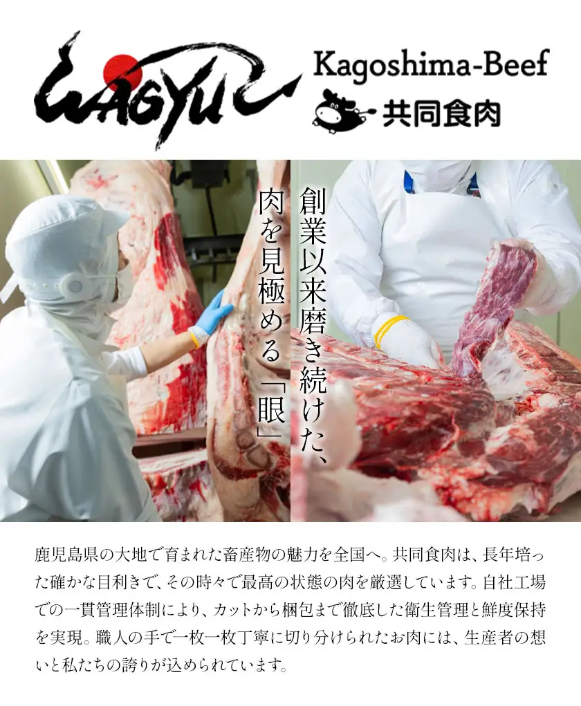 とろける さつま福永牛 サーロインステーキ 400g 有限会社共同食肉