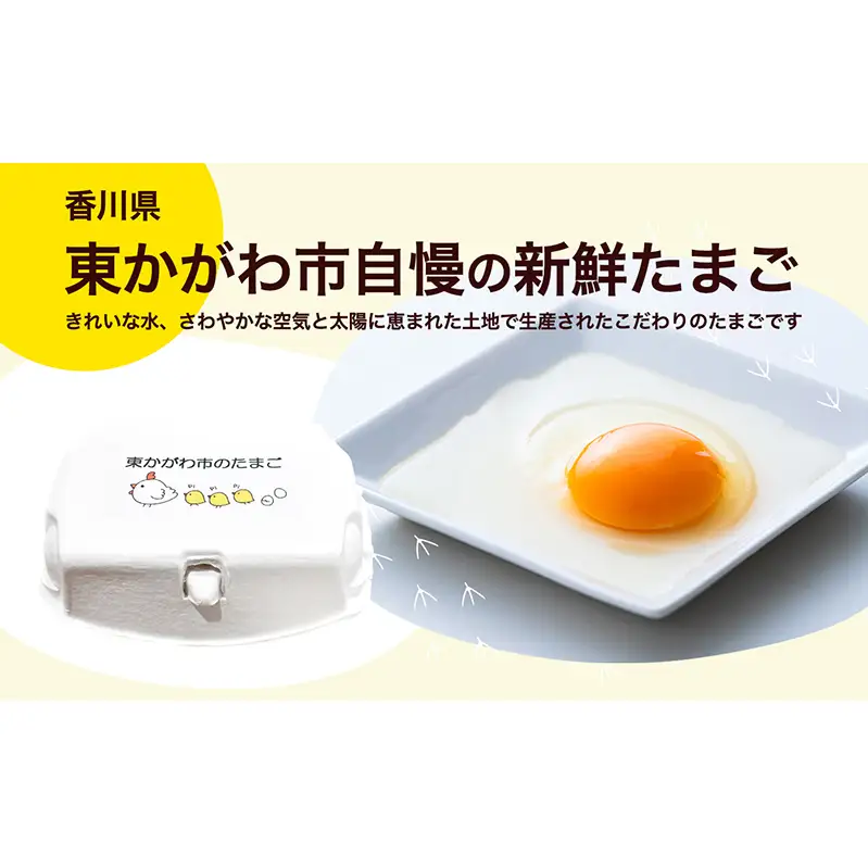 東かがわ市のたまご「鶏卵Mサイズ（10個×10P）」割れ保障1p含む たまご 卵 鶏卵
