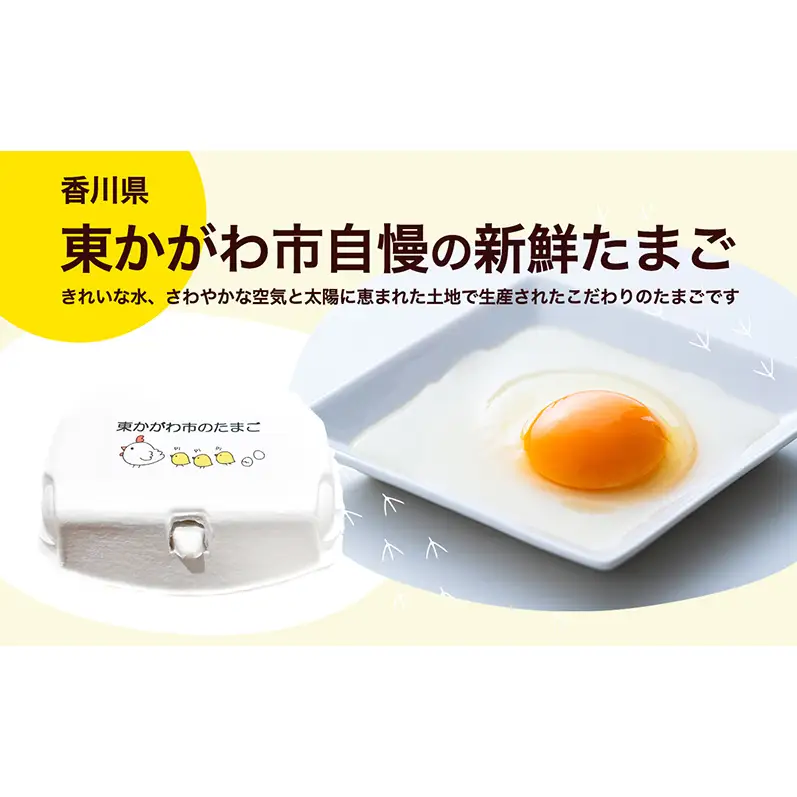 東かがわ市のたまご「鶏卵Mサイズ（10個×3P）」3ヵ月定期便 たまご 卵 鶏卵 3回 定期便