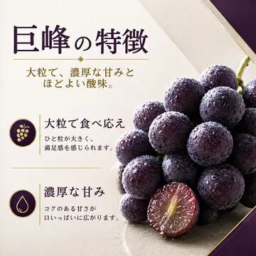 ぶどう 巨峰 葡萄 ブドウ 果物 フルーツ くだもの 2kg 1箱 秋 旬 果汁 甘み 大粒 茨城県産 期間限定 数量限定 【茨城県共通返礼品/かすみがうら市】（107-06）