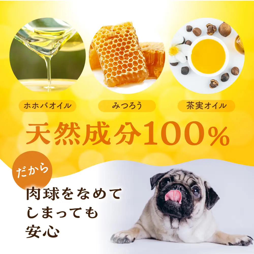 【11月～4月お届け】 国産はちみつ 肉球クリーム 【 60g (30×2) 】 肉球 クリーム ペット 犬 愛犬 グッズ 国産 トチ 百花 はちみつ ハチミツ 蜂蜜 チクマ養蜂 岐阜県産