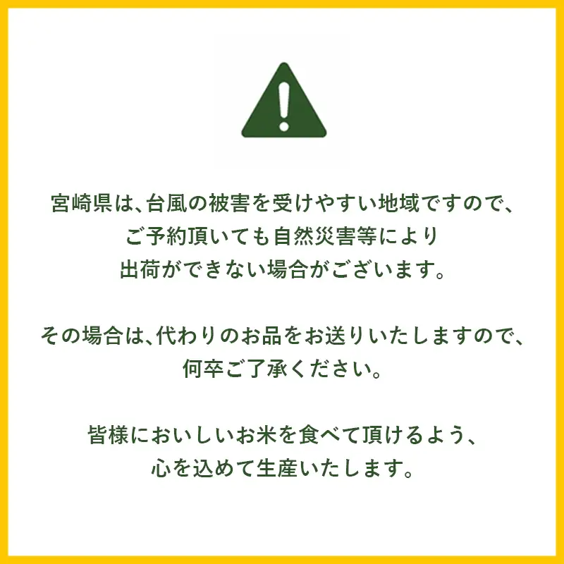 【無洗米】 ＜チャック付＞  新米 国産 令和8年産 コシヒカリ 宮崎県産（10kg） 