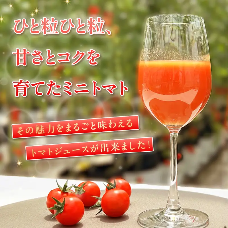 トマトFarm早川 トマトジュース　200ml×9本｜甘い 野菜ジュース 知多市