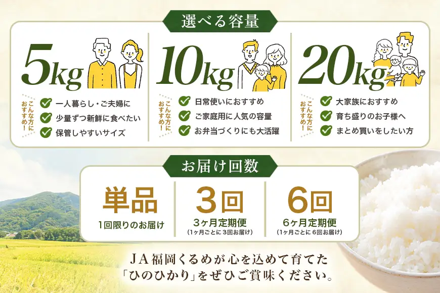 【3回定期便】【ふるさと納税】ひのひかり 米 お米 白米 10kg 10キロ 福岡県産 うきは市 国産 精米 ご飯 ごはん おにぎり お弁当 人気 おすすめ 家庭用 送料無料 新米 ストック 厳選 農家直送 大容量【JA福岡くるめ にじの耳納の里】