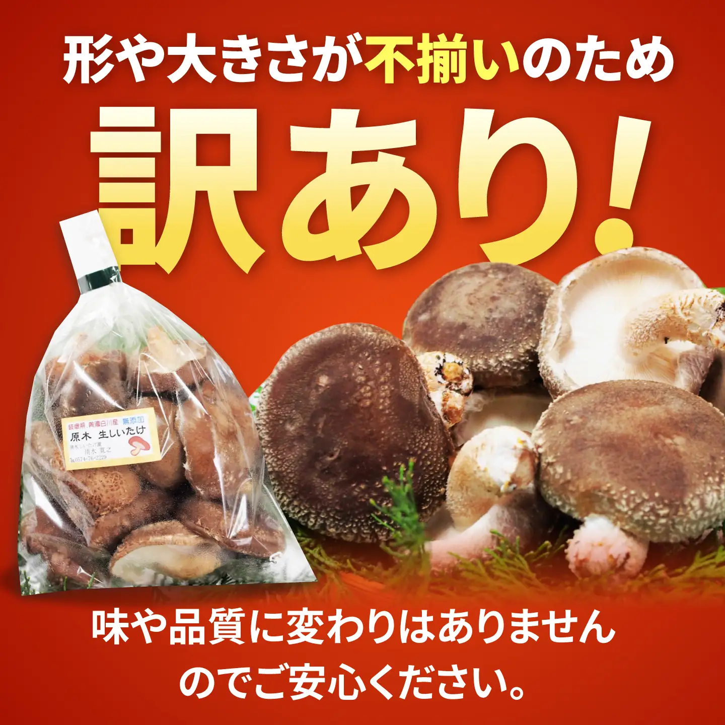 【訳あり】不揃い 原木しいたけ 1.6kg（200g×8袋）清水しいたけ園[AWAY004]訳ありシイタケ