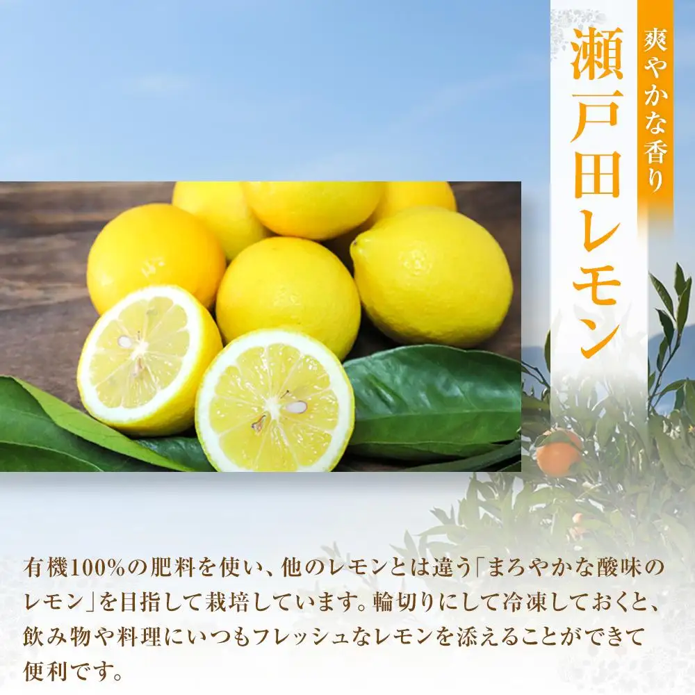 【先行予約】瀬戸田レモン3kg ＜2026年11月上旬より発送開始＞
