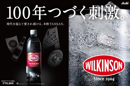 強炭酸水 【12ヶ月お届け！】ウィルキンソンタンサン 2箱 (48本入り) 定期便 アサヒ 炭酸