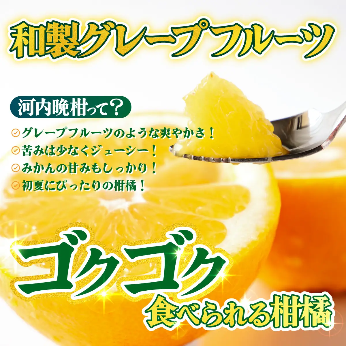 ＜【訳あり】愛媛県産 河内晩柑 約8kg＞『2026年4月上旬～8月下旬迄に順次発送予定』わけあり 訳アリ みずみずしい 和製グレープフルーツ かわちばんかん みかん 蜜柑 果物 くだもの フルーツ ミカン 愛媛 国産 特産品 株式会社三代目みかん職人 愛媛県 西予市【冷蔵】OSM0001