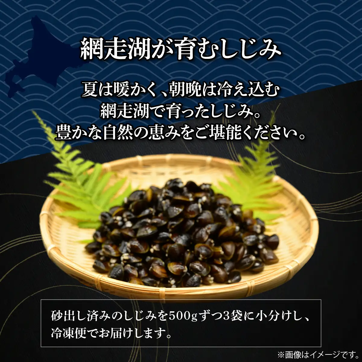 【定期便】無添加大粒砂出ししじみ500g×３袋合計1.5kg　全12回 ABAO143