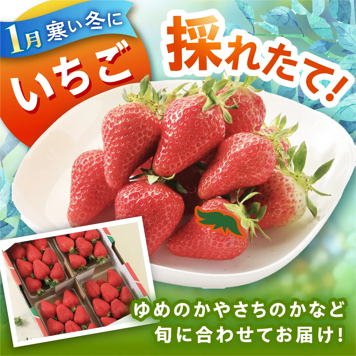 旬のフルーツ定期便 4回 フルーツ定期便 [ACAA494]