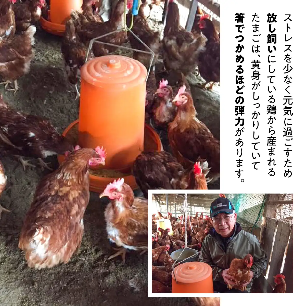 ≪飯能産≫放し飼いたまご 20個(夏季)　HNNBP003