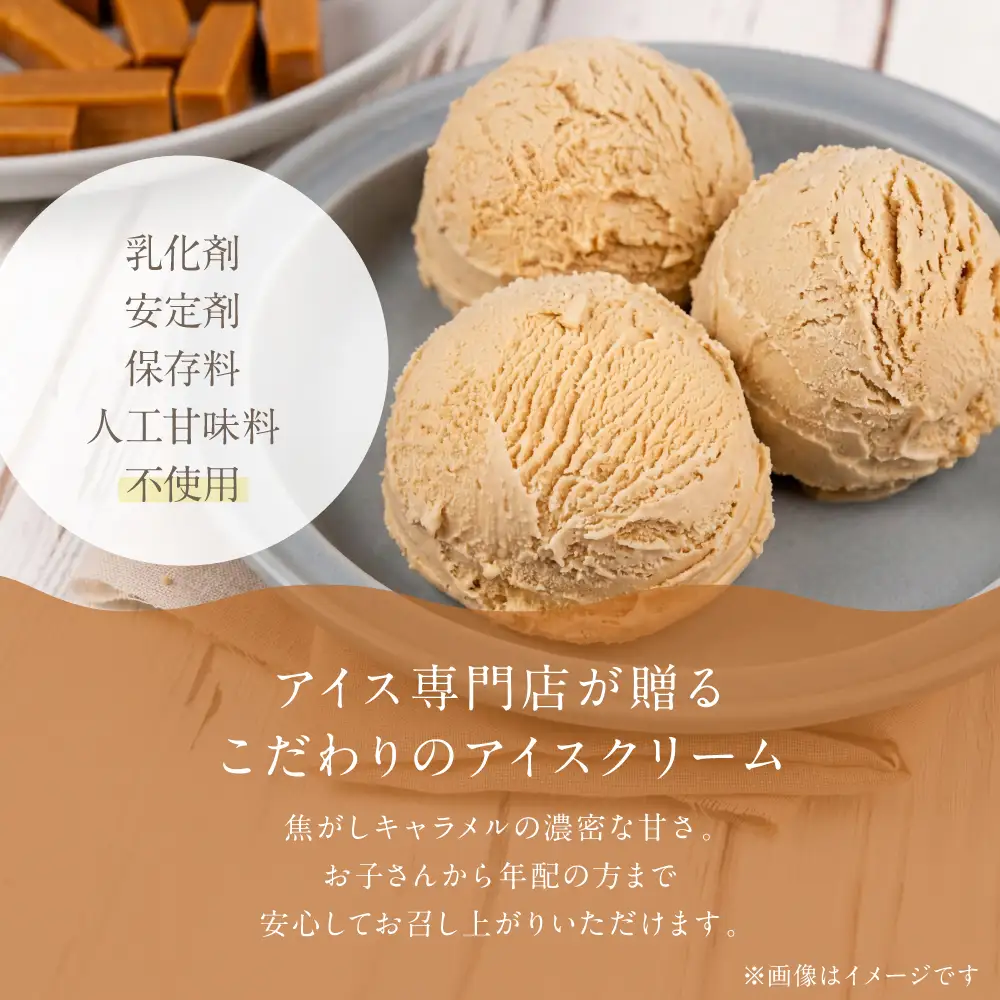 [キャラメル味] 業務用アイス1リットル 大容量 アイスクリーム 大容量