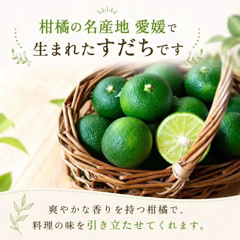 【2026年8月上旬より順次発送】すだち 2.5kg 家庭用 愛媛県産 | 不揃い キズあり 訳ありフルーツ 果物 くだもの 農家直送 スダチ すだち果汁 焼き魚 ぶり しいたけ お酒 酢 旬 刺身 ぶり 愛媛県 松山市【YBN003】