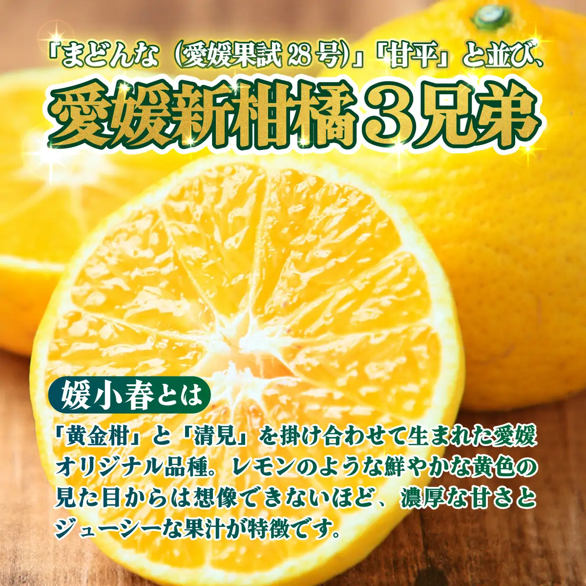 ＜【訳あり】愛媛県産 媛小春 約3kg＞『2027年2月上旬～3月下旬迄順次発送予定』わけあり 訳アリ 希少品種 ひめこはる 高級柑橘 みかん 蜜柑 果物 くだもの フルーツ ミカン 果汁 国産 特産品 株式会社三代目みかん職人 愛媛 西予市【冷蔵】OSM0024