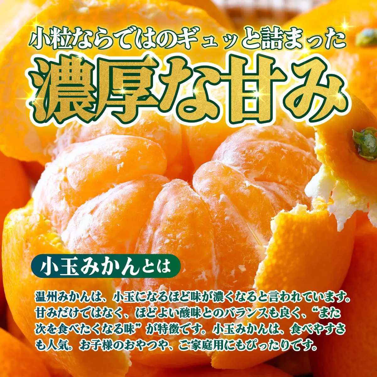 ＜【訳あり】愛媛県産 小玉みかん 約2kg＞『2026年11月上旬～1月下旬迄順次発送予定』 わけあり 訳アリ 濃厚 甘い 小さい こだま みかん 蜜柑 訳あり 果物 くだもの フルーツ ミカン 果汁 国産 特産品 株式会社三代目みかん職人 愛媛 西予市【常温】OSM0008