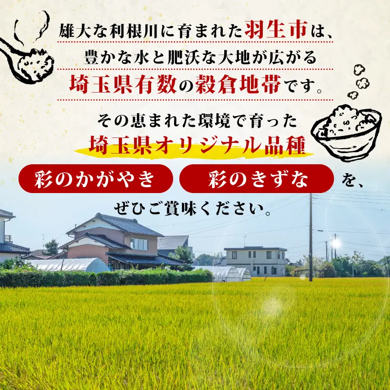 【無洗米】 彩のきずな 5kg 無洗 令和7年産