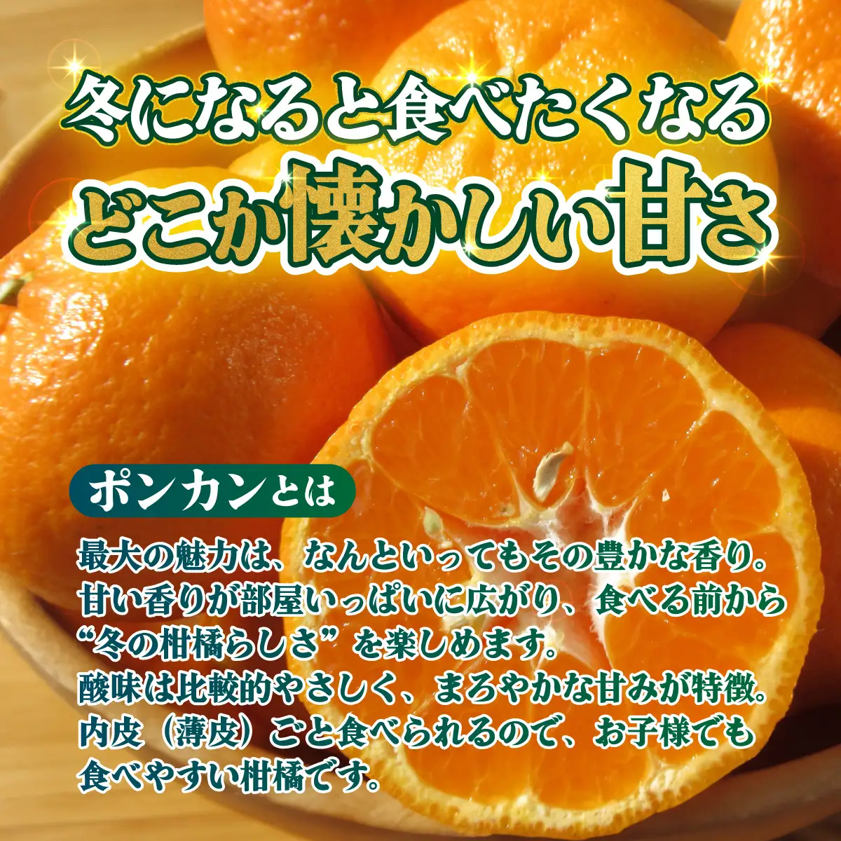 ＜【訳あり】愛媛県産 ポンカン 約3kg＞『2027年1月上旬～3月上旬迄順次発送予定』 わけあり 訳アリ 果肉 ぽんかん ジューシー みかん 蜜柑 果物 くだもの フルーツ ミカン 果汁 国産 特産品 株式会社三代目みかん職人 愛媛 西予市【常温】OSM0028