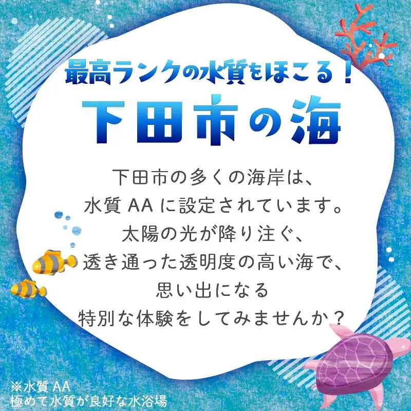 ダイビング 補助券 10,000円分 ダイビング 伊豆 下田