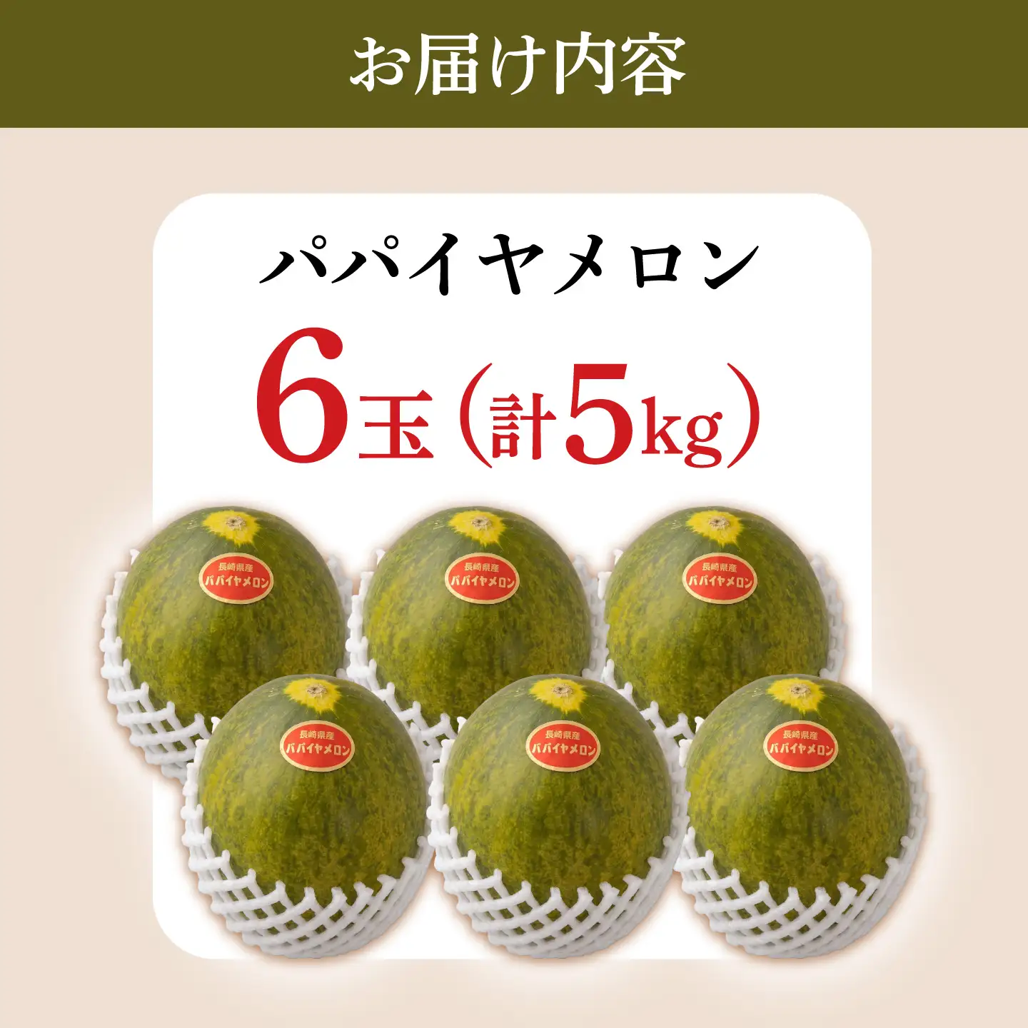 パパイヤメロン 6玉 ( 約 5kg ) / メロン めろん パパイヤメロン 果物 フルーツ / 南島原市/ 小田メロン園[SGX001]