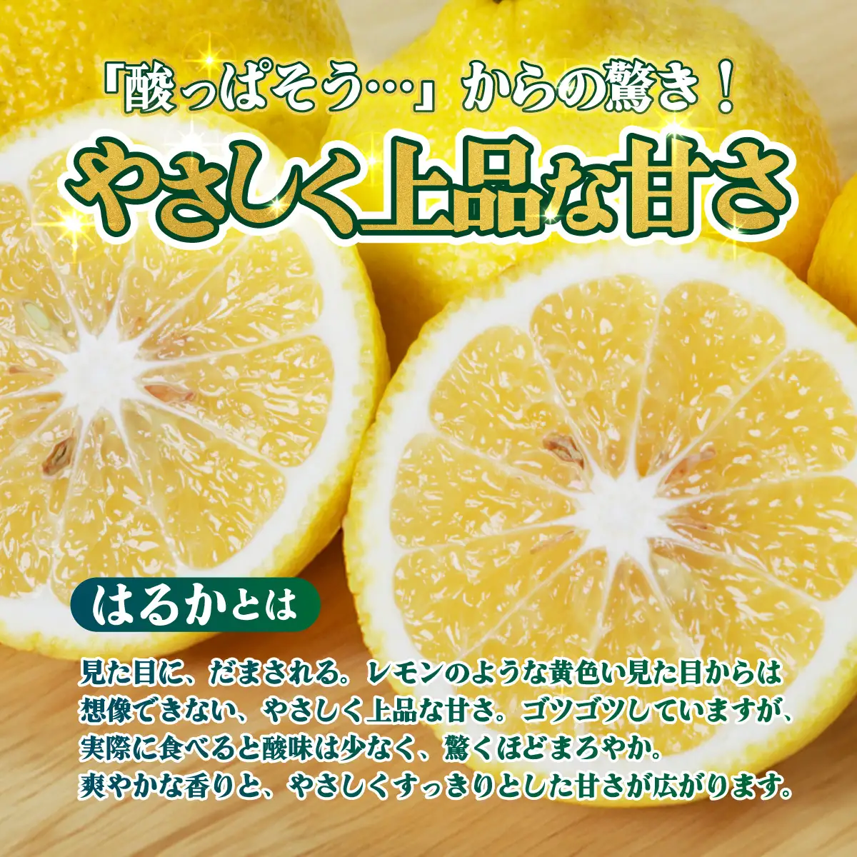 ＜【訳あり】愛媛県産 はるか 約3kg＞『2027年2月中旬～3月上旬迄順次発送予定』わけあり 訳アリ 果肉 ハルカ 産地直送 みかん 蜜柑 訳あり 果物 くだもの フルーツ ミカン 果汁 国産 特産品 株式会社三代目みかん職人 愛媛 西予市【常温】OSM0030