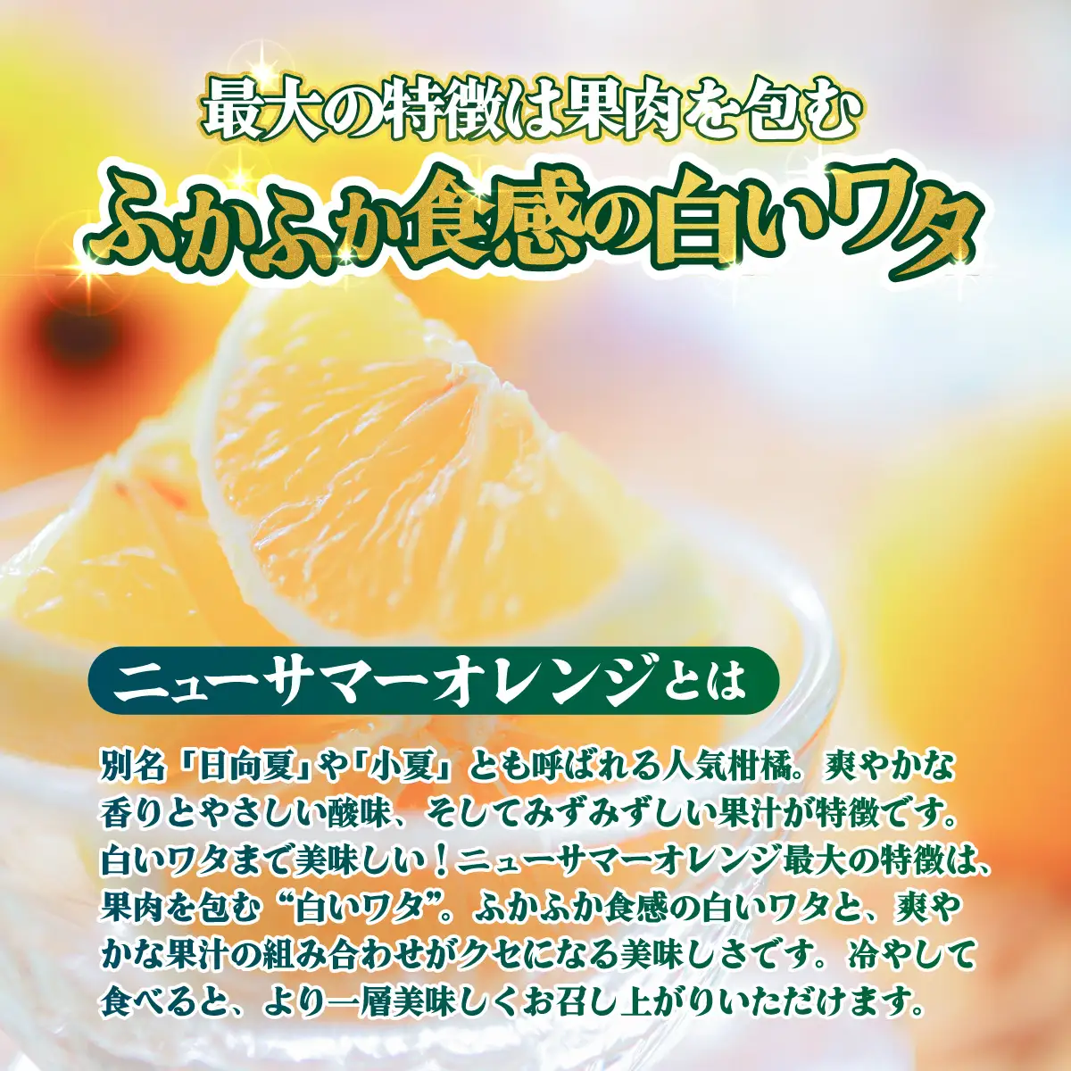 ＜【訳あり】愛媛県産 ニューサマーオレンジ 約1.5kg＞『2027年4月上旬～5月中旬迄順次発送予定』 わけあり 訳アリ ジューシー 日向夏 みかん 蜜柑 果物 くだもの フルーツ ミカン 果汁 国産 特産品 株式会社三代目みかん職人 愛媛 西予市【冷蔵】OSM0014