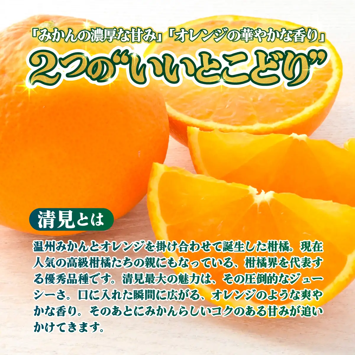 ＜【訳あり】愛媛県産 清見 約1.5kg＞『2027年2月上旬～4月下旬迄順次発送予定』 わけあり ジューシー 果肉 訳アリ きよみ みかん 柑橘 蜜柑 果物 くだもの フルーツ ミカン 果汁 国産 特産品 株式会社三代目みかん職人 愛媛 西予市【常温】OSM0016