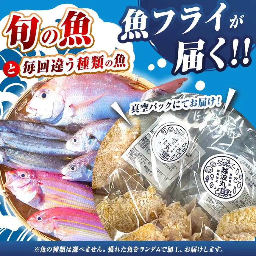 海の幸 フライ セット 3パック