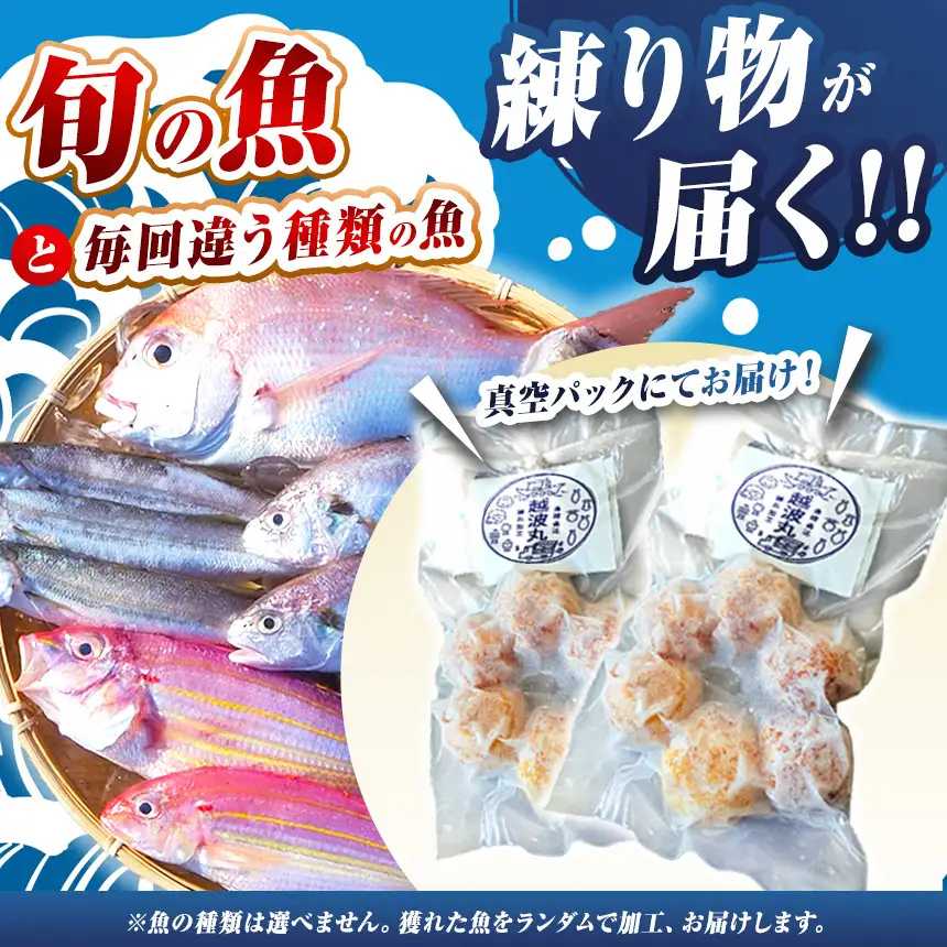 海の幸 練り物 セット 3パック