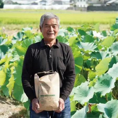 米 ヒノヒカリ 5kg 京都府 久御山町産　令和7年産米 精米 ふるさと納税【1706537】