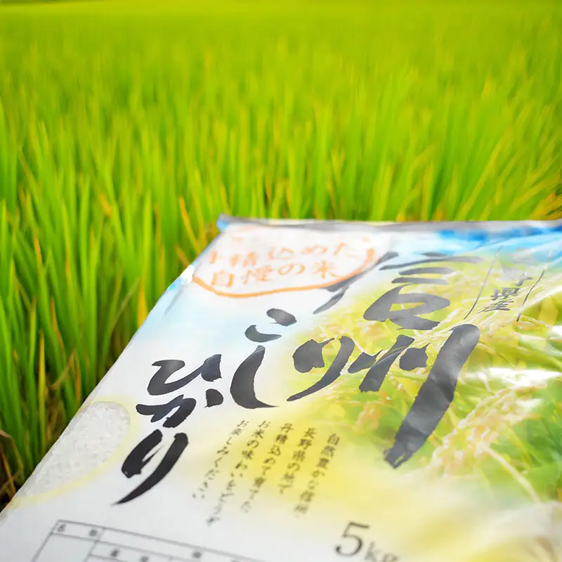 こしひかり 精白米 農家直送 長野県産 こしひかり【5kg】
