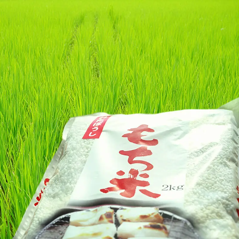 もち米 わたぼうし 精米 農家直送 長野県産 もち米【2kg】
