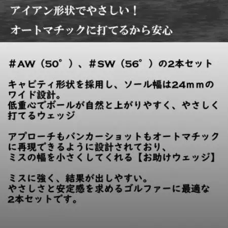 ゴルフクラブ ウェッジ BLASTER #AW #SW 2本セット フレックスR 特別仕様【1726041】