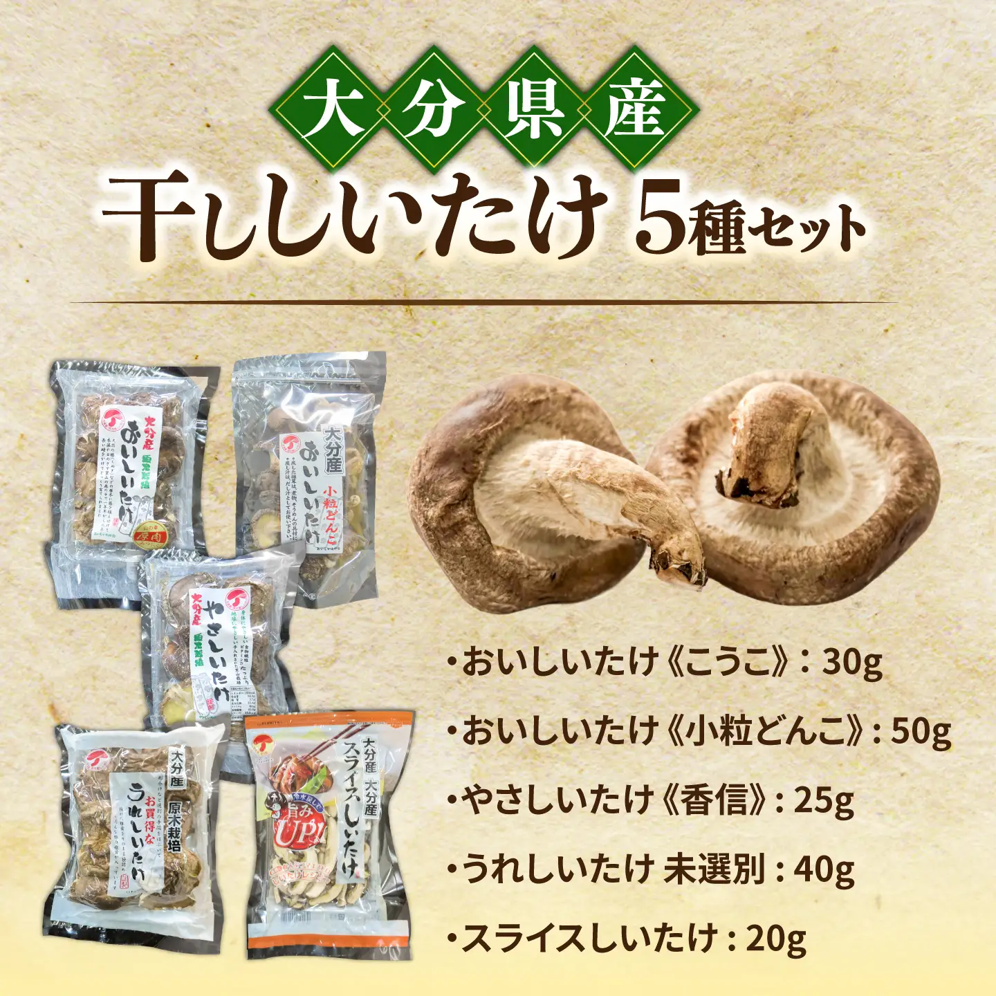 干ししいたけ 詰め合わせ5点セット！大分県産干し椎茸 椎茸 どんこ こうこ こうしん スライス 日田市 / 高木商店[AREX004]